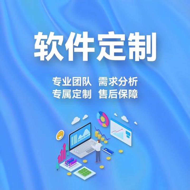 软件定制开发：企业发展的加速器
